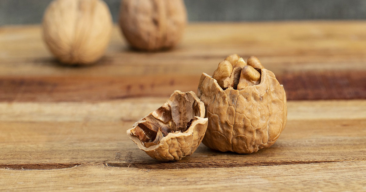 Walnut Bars with Buckwheat Honey — The Birkett Mills
